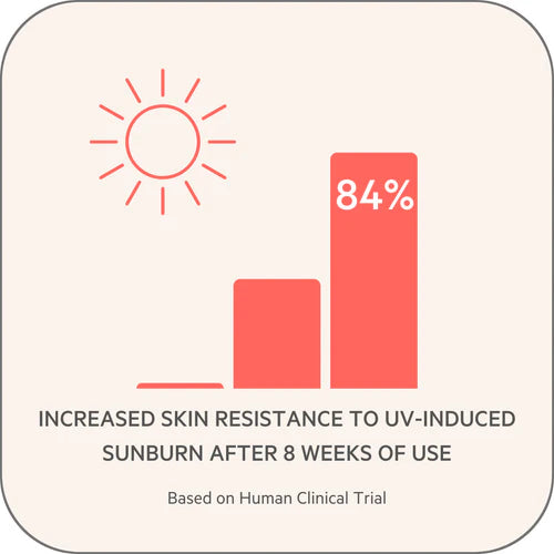 Renew+Protect  – 120 Mini Softgels