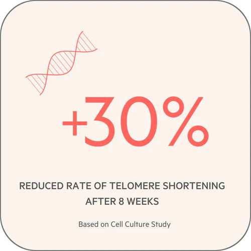 Renew+Protect  – 120 Mini Softgels